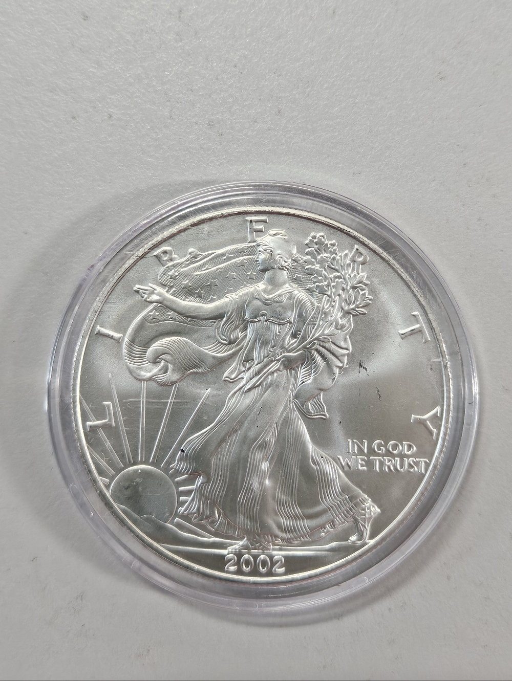 2002 Standing Liberty $1.00 1 oz. Fine Silver Colorized Collectible USA Coin
